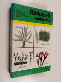 Itiökasvit värikuvina