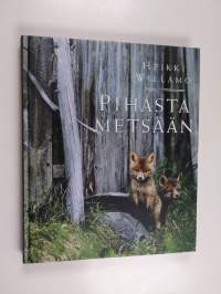 Pihasta metsään