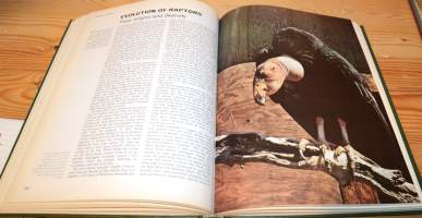 Birds of Mountain and Moorland