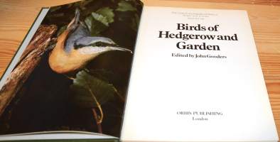 Birds of Hedgerow and Garden