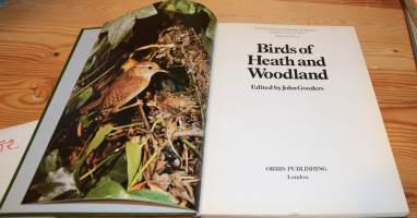 Birds of Heath and Woodland