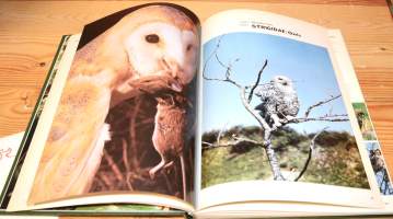 Birds of Heath and Woodland