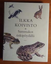 Sammakot tiskipöydällä