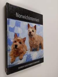 Norwichinterrieri