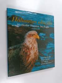 Haliaeetus albicilla : merikotka = havsörn = sea eagle (signeerattu, tekijän omiste, ERINOMAINEN)
