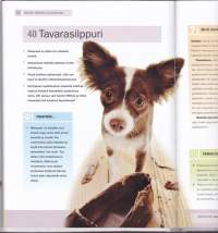 Koirien elekieli -  ohjaa koiran käytöstä, 2013. 100 elettä, ilmettä, liikettä, ääntä.