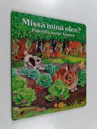 Missä minä olen? : piilosilla kanin kanssa