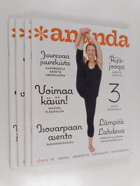 Ananda vuosikerta 2013 (1-4)