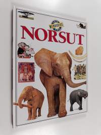 Norsut