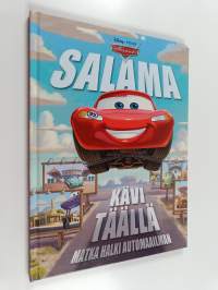 Salama kävi täällä : matka halki automaailman