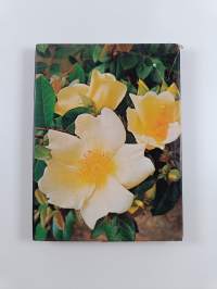 Xenia Field&#039;s Book of Roses