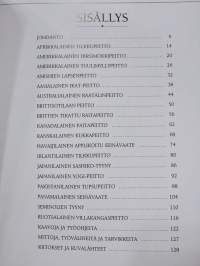 Tilkkujen taika - perinteisiä tilkkutöitä, vanutikkauksia ja applikaatiomalleja maailmalta
