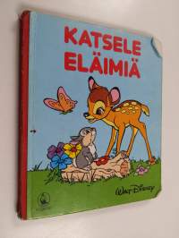 Katsele eläimiä
