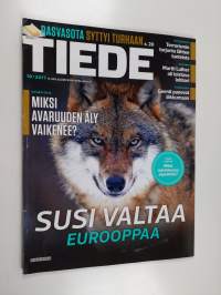 Tyhjä kuva
