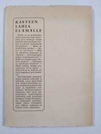 Kasteen lahja elämälle : uutta ja vanhaa Uuden testamentin kasteesta (signeerattu, tekijän omiste)