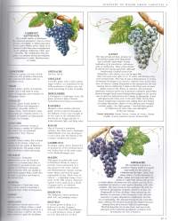 The new Sotheby`s Wine Encyclopedia A Comprehensive Reference Guide to the Wines og the World