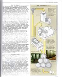 The new Sotheby`s Wine Encyclopedia A Comprehensive Reference Guide to the Wines og the World