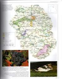 The new Sotheby`s Wine Encyclopedia A Comprehensive Reference Guide to the Wines og the World