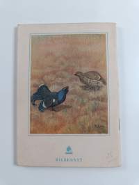 Lilla fågelboken