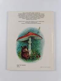 Mörri-Möykyn suvi