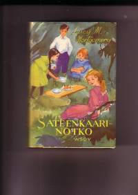 Sateenkaarinotko