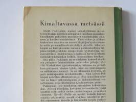 Kimaltavassa metsässä