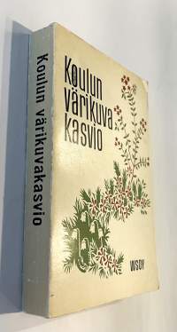 Koulun värikuva kasvio