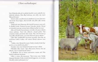Suomen lasten hölmöläissadut, 2001.