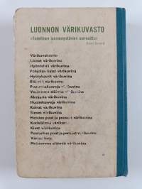 Koulun värikuvakasvio