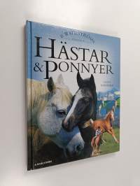 Hästar &amp; ponnyer