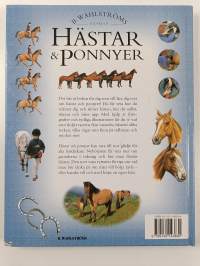 Hästar &amp; ponnyer