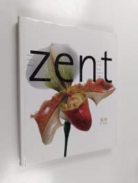 Zent : Touches of India