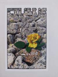 Syntisten vapahtaja