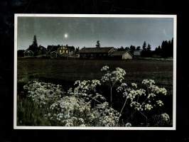 Äetsää etsimässä  -Valokuvateos