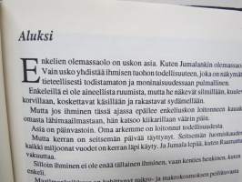Enkelten maailma - Suojelusenkeleistä langenneisiin enkeleihin