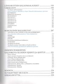 Ruotsin pyyntikulttuurin kalliokuvat Suomalaisin silmin