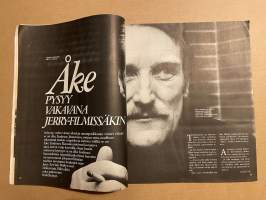 Me Naiset 1972 nro 16 ilmestynyt 19.4.1972, Matkamuistotalon Kaarina, Åke Lindman, Raili Lehtola - kotirouvan päivä, Uusi verho virkistää