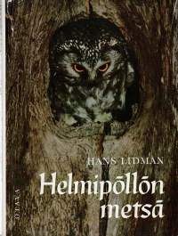 Helmipöllön metsä