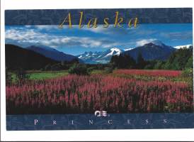 Alaska Princess Cruises- laivakortti, laivapostikortti  postikortti kulkematon