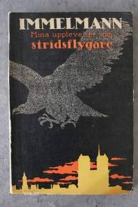 Mina upplevelser som stridsflygare