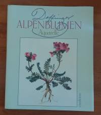 Alpenblumen - Aquarelle