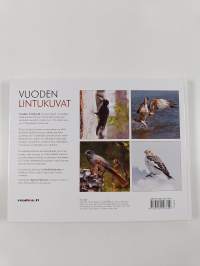 Vuoden lintukuvat