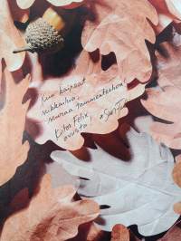 Minne matka, lapanen (signeerattu, tekijän omiste)