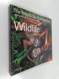 Wildlife : The World&#039;s Top Photographers and the Stories Behind Their Greatest Images