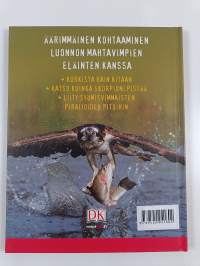 Hurjat eläimet 3-D