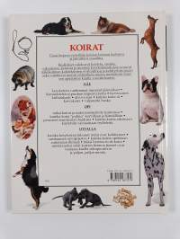 Koirat