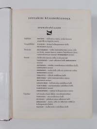 Myrsky nousee