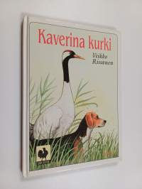 Kaverina kurki