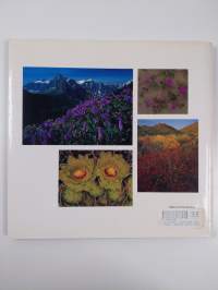 Wildflowers - Seasonal Splendors of the North American West