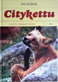 Citykettu ja muita taajaman eläimiä